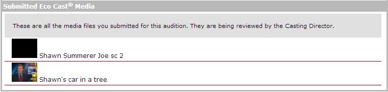 Otherwise, you will need to enter payment information. To send your audition, simply click Place Order.