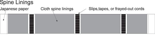 After rounding and backing, glue the tapes or fan the frayed out cords onto wastesheet ensuring that these are as smooth and unobtrusive as possible (see diagram below).