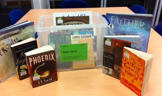 A sample of books in the Y5/6 read aloud collection.