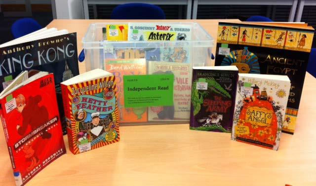 A sample of books in the Y5/6 independent read collection There are picturebooks,