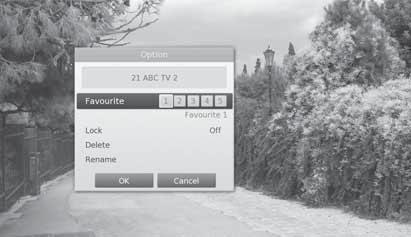 Basic Operation Option You can set the options for the watching channel. 1. Press the OPT+ button. 2. Select an option. Favourite: Select the favourite group to add the channel.