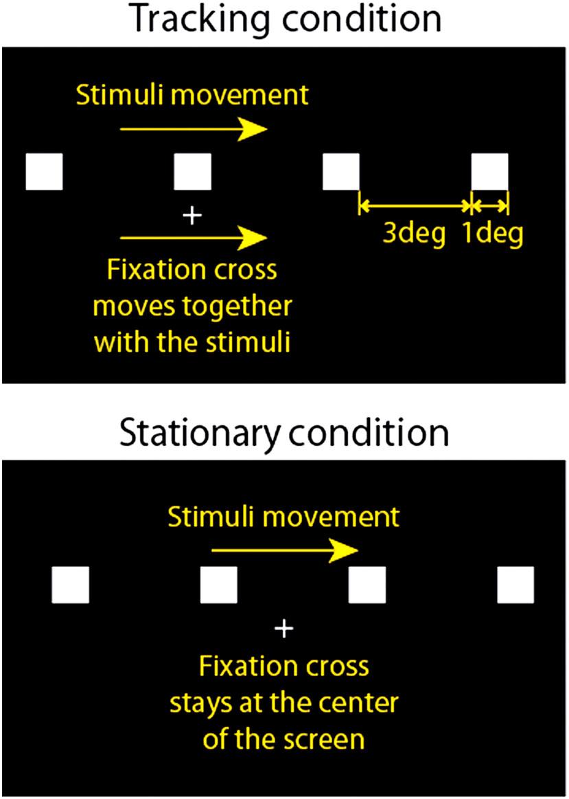 influence, however, on other effects such as depth distortion and flicker. 6,11 3 Experiment 2: flicker FIGURE 4 Stimulus and fixation target in the tracking and stationary conditions.