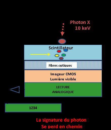 The miracle of the photon counting detectors 15 years In CCD s and CMOS the X-ray energy is converted in light and cumulated within the noise giving an analogue signal to be numerated In photon