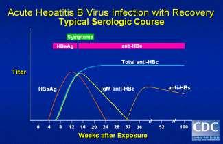 C.2.5.3 Investigaţii paraclinice Diagnosticul hepatitei virale B: teste serologice teste moleculare examenul histologic Protocol Clinic Naţional Hepatita virală cronică B,D la copil, 2016 Tabelul 4.