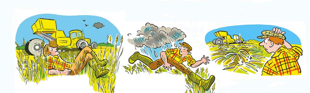 This day is too nice to work hard cutting hay. Oh no! I hope it s only a shower! My hay is ruined. Now I ll have no hay this winter. B Design a cartoon strip to illustrate a proverb.