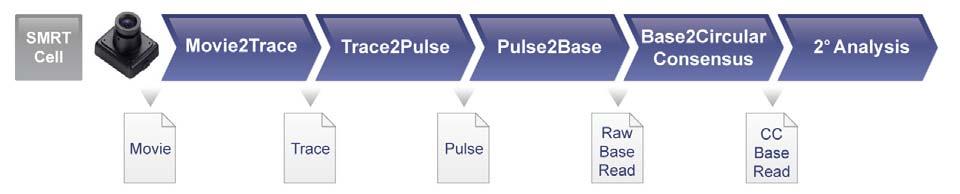Base, Pulse, and Trace File Reference Guide Introduction This document describes the contents of the three main files generated by the Pacific Biosciences primary analysis pipeline: bas.