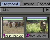 If you haven t captured any clips and wish to follow the examples in this chapter, you can load clips and images from the VT[4] Manual Content CD. To start, in the Filebin, find HorseHerd.
