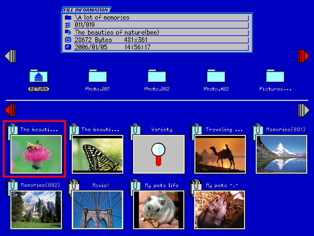Using the USB Memory Viewer XD435U/XD435U-G enables you to read JPEG and MPEG files from a USB memory stick and show the images on a screen.