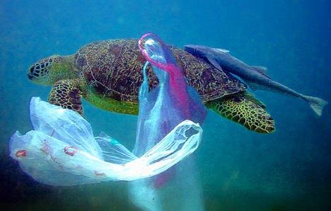 Nonetheless, waste represents a major environmental problem and a challenge in terms of values. 2.image Plastic bags are rarely made out of environmentally friendly materials; by using 1.image 4.