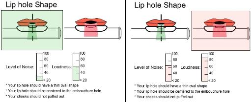 40 3 Design and Implementation Figure 3.20: Lip Hole Shape section that indicates wrong/good position.