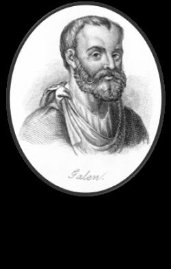 The Theory of the Opposites: ROME Galen liked Hippocrate s Four Humours theory and developed it further.