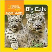 com Website: sandysilverthornebooks.com Big Cats Author: Musgrave, Ruth A.