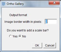 Orthogonal View To create a Orthogonal view: Either Open your image Select Image Stacks Orthogonal