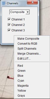 Multi channel images cannot be imported into PowerPoint, Word, illustrator etc.