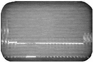 " Two Horizontal Fields Composite video is distributed through television systems through cable at a level of one volt peak to peak with an impedance of 75 ohms.