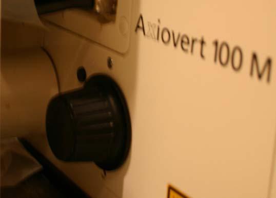 Visualizing a Sample through the Eyepiece 3. On the Axiovert 100 microscope, the small black button on the left side of the scope next to the focus knob alternates between coarse and fine focus. 4.