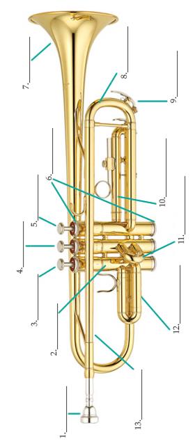 Parts of the Trumpet (Worksheet)