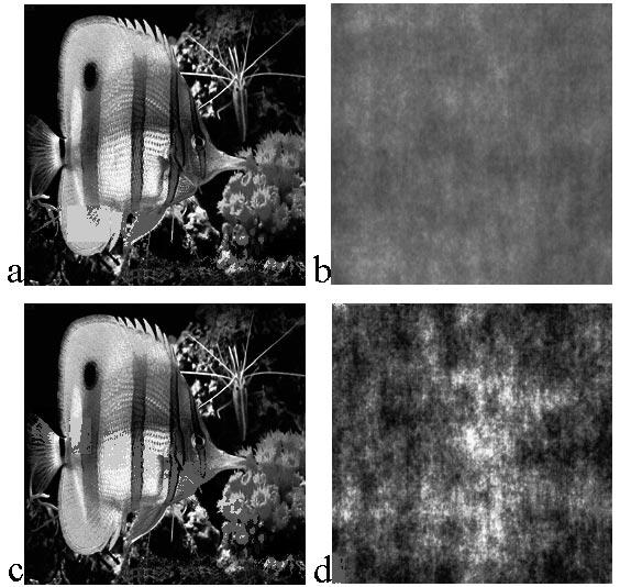 Z. Hrytskiv et al: Cryptography and steganography of video... 119 Figure 3. Initial image "Fish" èaè and the result of the encryption èbè using phase mask from Fig. 2a.