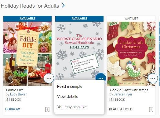 4. You are now in the online catalog for e-books and audiobooks. If you need help navigating the catalog, see the accompanying section searching the catalog for more help.
