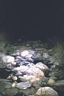 24-LED array; the right photo used a two-cell headlamp with halogen bulb. This scene is looking at a streambed with the lamp pointed about 15 feet (4.5 meters) ahead.