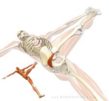 html Image from a website no author and no date Image from Google images Figure 3. Piriformis stretch (The Daily Bandha, 2010) Figure 4.