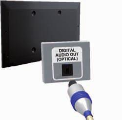 Digital Audio (Optical) ARC (Audio Return Channel) The number of connectors and their names and locations may vary depending on the model.