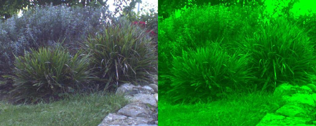 Example: Color separations (LUT Only green ) Example: Brightness