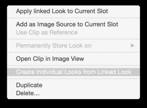 Advanced features Fig. 11: Context Menu of a Linked Look From the context menu choose Creating Individual Looks from a Linked Look.