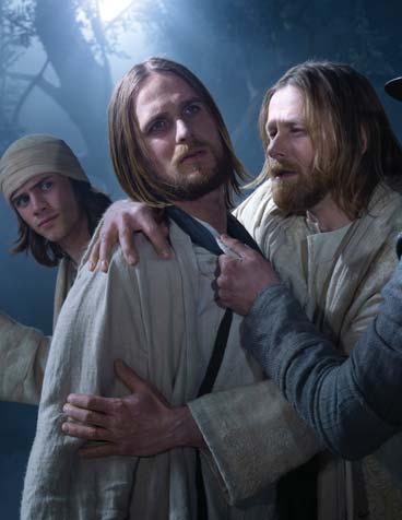 Extras Upgrade to Category 1 Passion Play ticket 29 Insurance (available after 31 January 2019) Single room supplement 89 Entrance fees to places of interest Regional flight supplement (if any) call