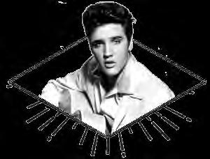 SPEAKERS CORNER ELVIS Presley GOLD RECORDS VOL. 4 ARCA 3921 $34.