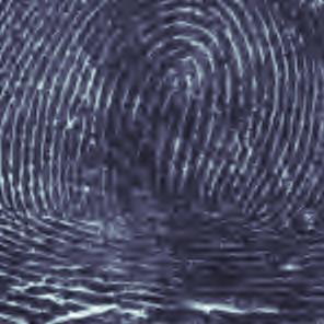 Wavelet Compression of Fingerprint Images