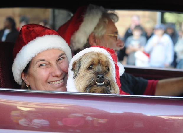 Brockton Holiday Parade on Linda Costa and her dog