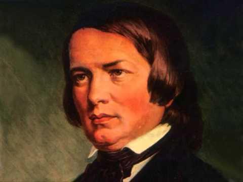 Biography Career His big break Robert Schumann was impressed and promoted Brahms career.