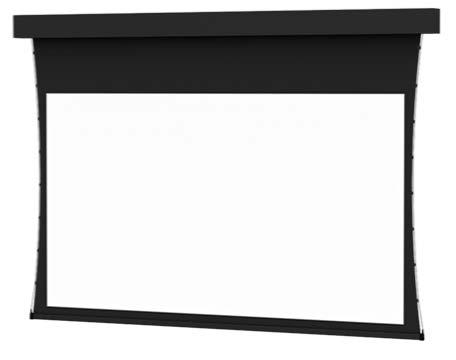 Motorized Front Projection Screen: One Da-Lite Tensioned Professional Electrol