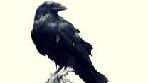, dig deep with The Cask of Amontillado and quoth nevermore with The Raven and hear the tintinnabulation of The Bells! 1 2 3 ABOUT THE AUTHOR Edgar Allan Poe was born in Boston, Massachusetts in 1809.