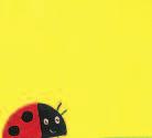 creature of all: the Ladybird has a plan of