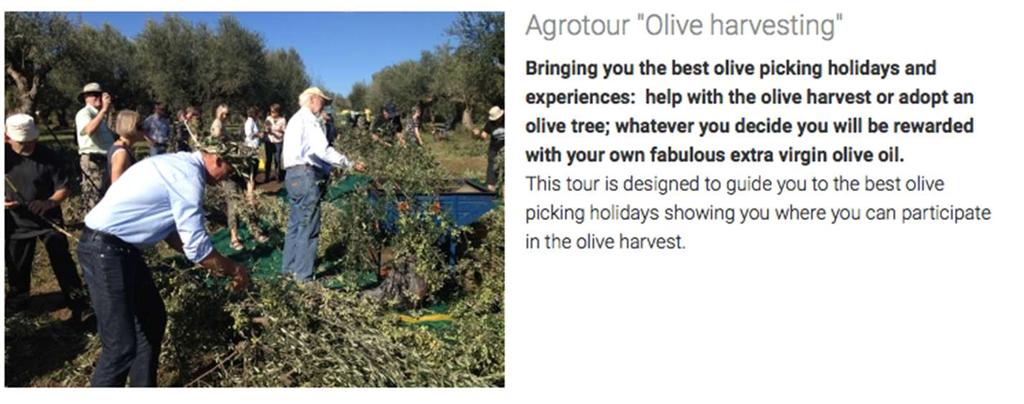 We had the occasion to personally ask Mr. Trigilidas (P4) about his proposed tourism experience, related with olives and olive oil production.