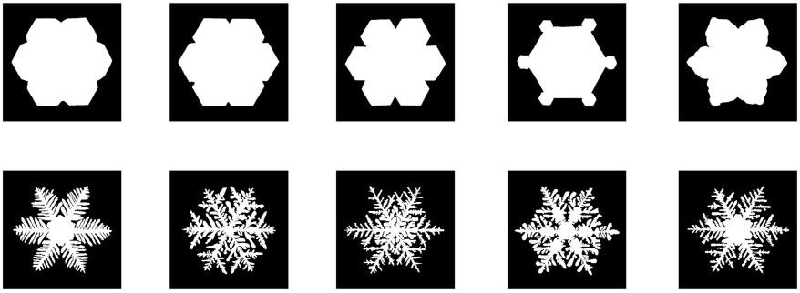 Perception 0(0) Figure. A depiction of the variety of specific snowflake shapes that exist within complexity Levels (top row) and (bottom row). Figure. One set of solid objects used as experimental stimuli.