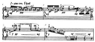 are played as tremolos in the first movement. 13 He also performs tremolos in his recording, but there is no tremolo indication in the score.