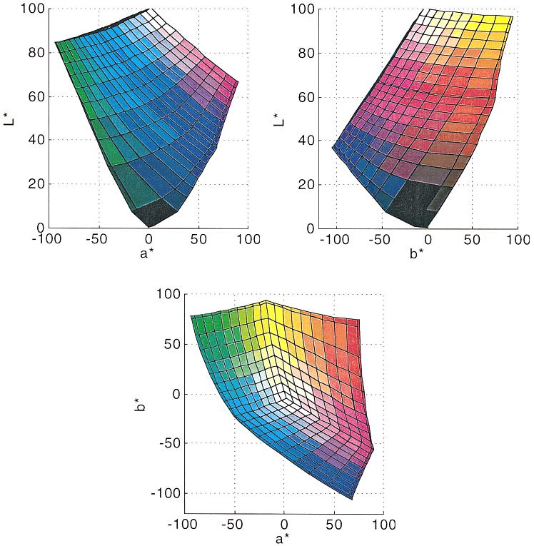 FIG. 2. The color gamut of the CRT in CIELAB space for the Relative viewing condition. The values are calculated with a white point (L* 100, a* 0, b* 0) set at x 0.313 and y 0.