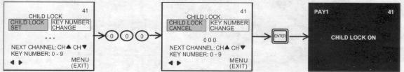 PROGRAM - 34 - The picture and sound will now be blocked out for this channel. Repeat the same steps to cancel the CHILD LOCK. To change the key number, select key number change.