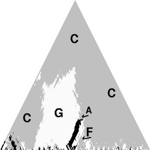 The top portion of the figure shows the major key regions of the piece which are primarily the keys of C major and G major.
