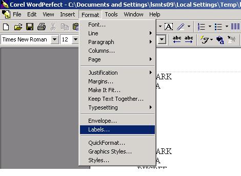 9. Go to Format on the toolbar and choose Labels, as seen here: 10.