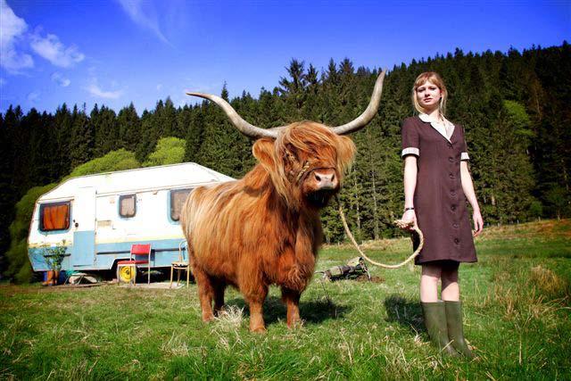 TROUT A kooky tale of true love triumphs, Alex and Mari are highland lovers living in an isolated caravan in the west of Scotland.