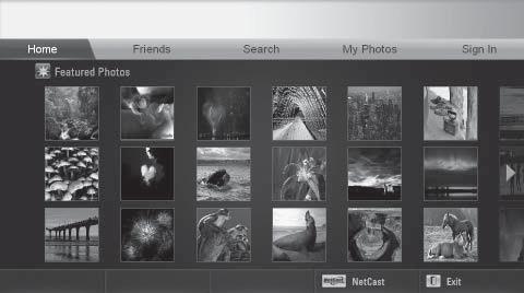NETCAST PICASA Picasa is an application from Google that appreciates digital image files.