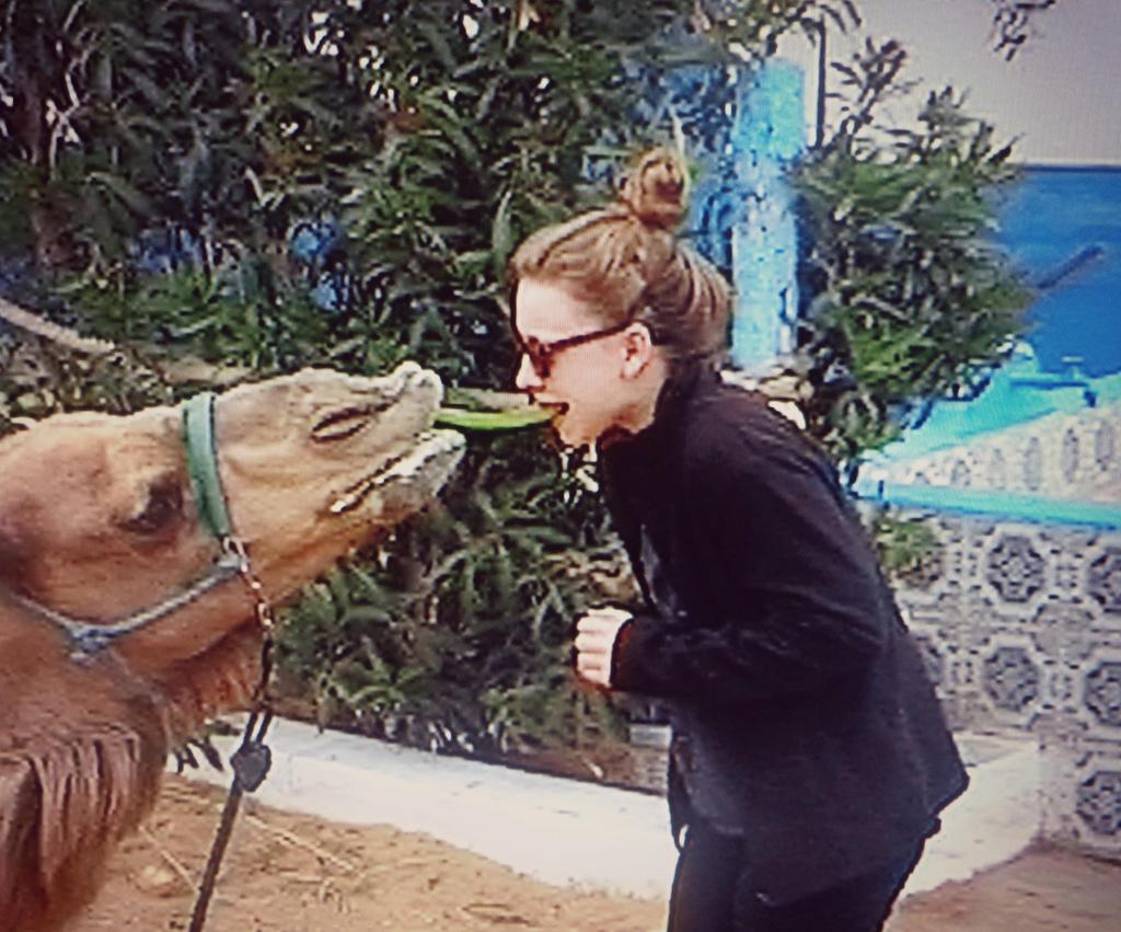 I went on a camel ride.