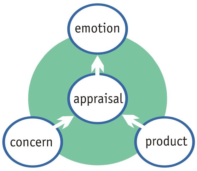 Framework of Product Experience Meaning and Emotion Following the tradition of appraisal theory, Desmet (2002) introduced a basic model of product emotions, as shown in Figure 4.