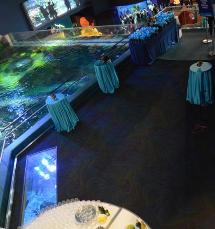 Your reception rental includes the following: Admission to the aquarium for up to 75 guests on the event date.