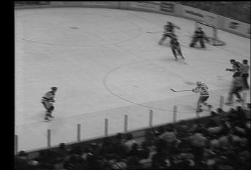 Flower, and Hockey. These videos are commonly used for video experiments and publicly available. 7 Representative frames of the videos used are shown in Figure 2.