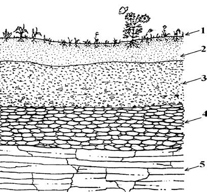 o fază gazoasă care constă din aerul din porii solului cu un ridicat conţinut de CO 2 şi alte gaze rezultate din metabolismul microorganismelor (figura 5.1).